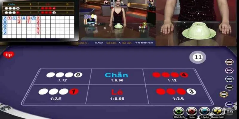 Bí quyết chơi xóc đĩa livestream giúp nâng cao cơ hội thắng