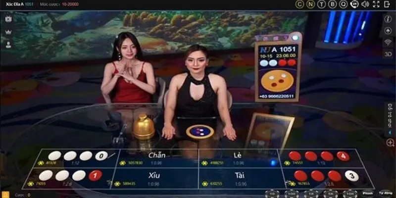 Hướng dẫn chơi xóc đĩa livestream dễ hiểu cho người mới