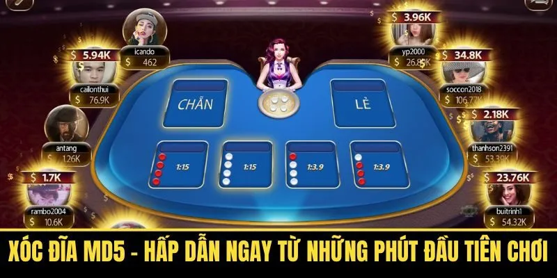 Xóc Đĩa MD5 – Hấp Dẫn Ngay Từ Những Phút Đầu Tiên Chơi